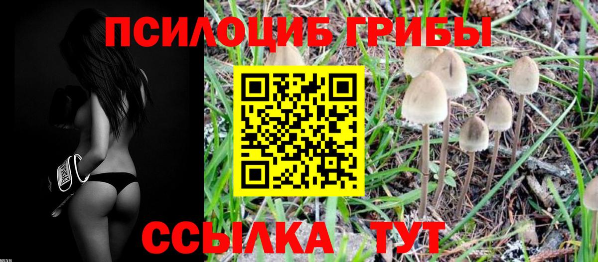 Галлюциногенные грибы Magic Shrooms  Вход с VPN  Петропавловск-Камчатский 